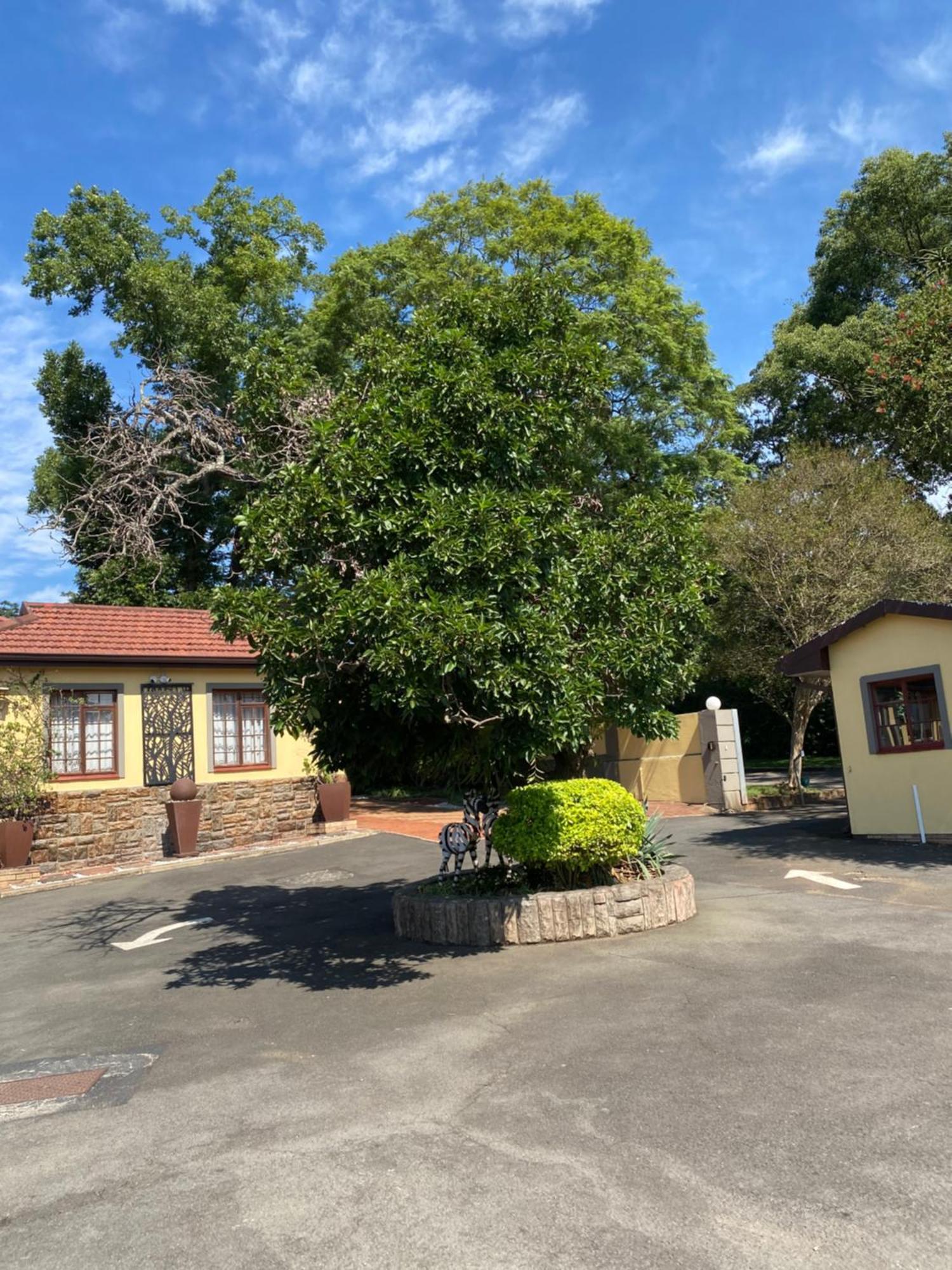 Madlula'S Guesthouse Pietermaritzburg Exterior foto